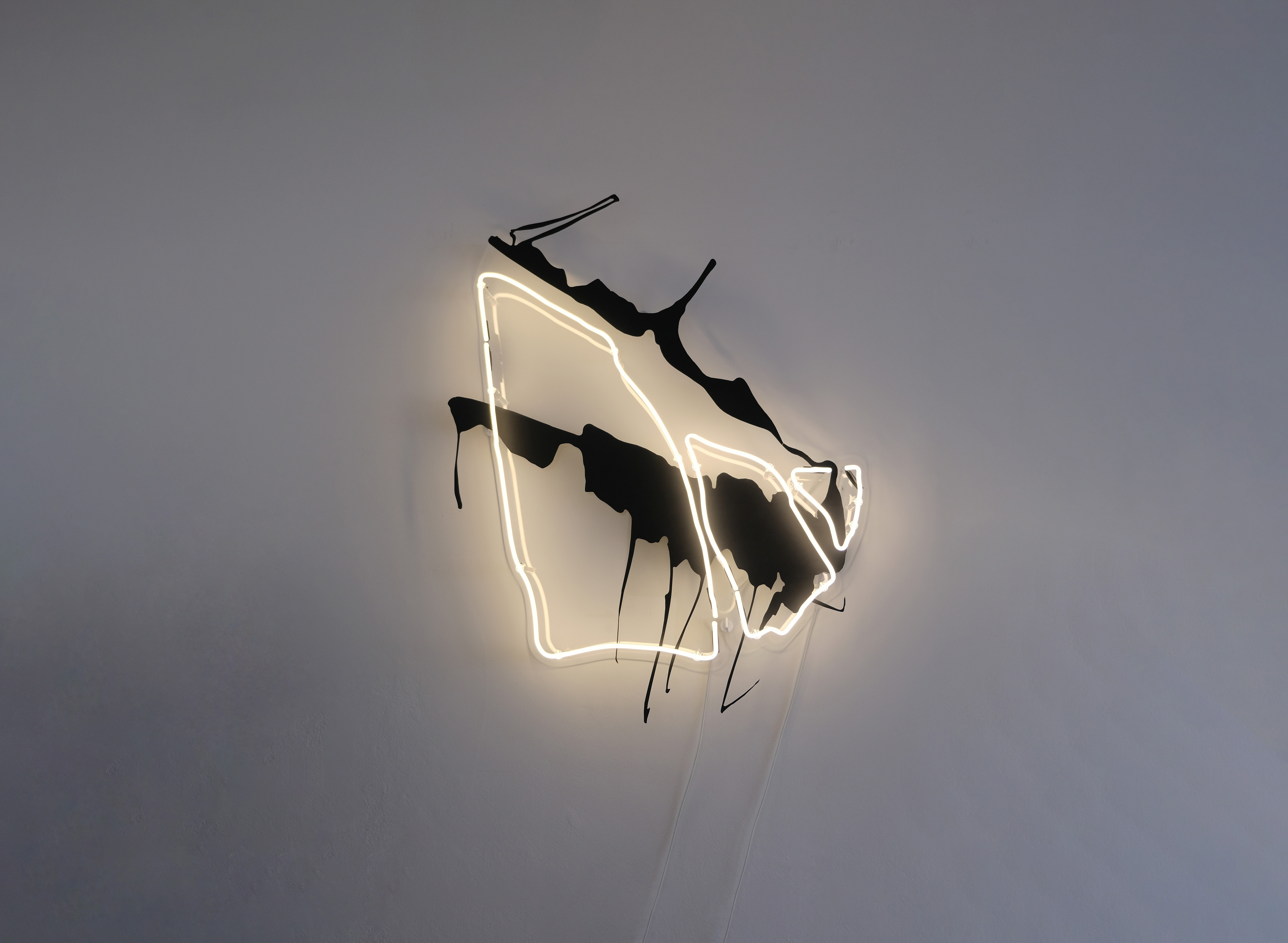 just keep me where the light is — Stephan Schön